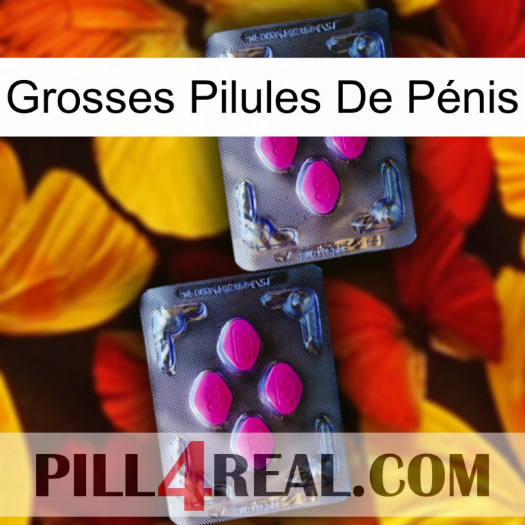 Grosses Pilules De Pénis 01
